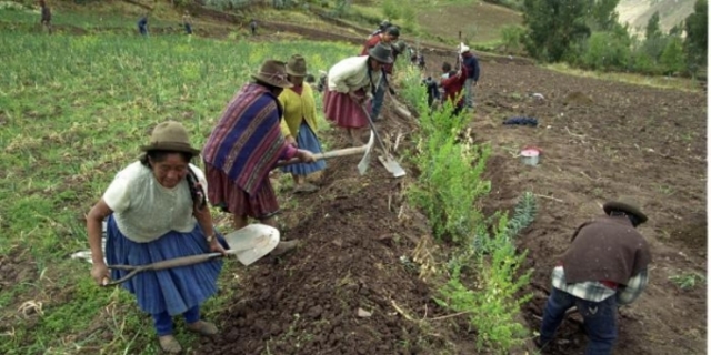 OBJETIVOS LEY 30 DE 1988