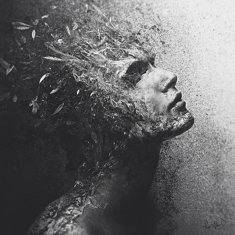 Amir and Baba come to San Francisco