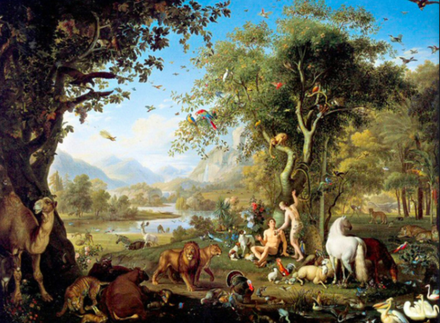 creation    Genisis 2:4