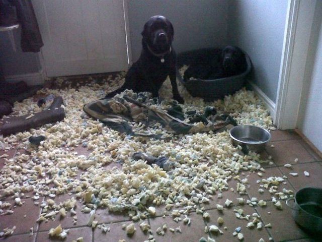 Daños enormes siente