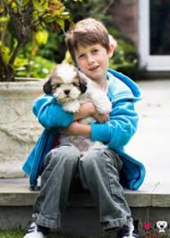 Acompañamiento total