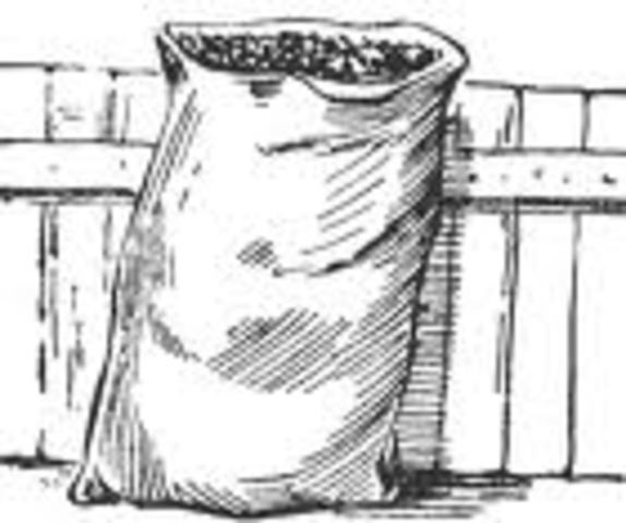 Falling action 3- Mr.Mudge