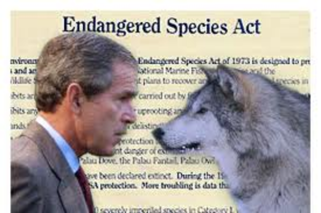 endangered species act