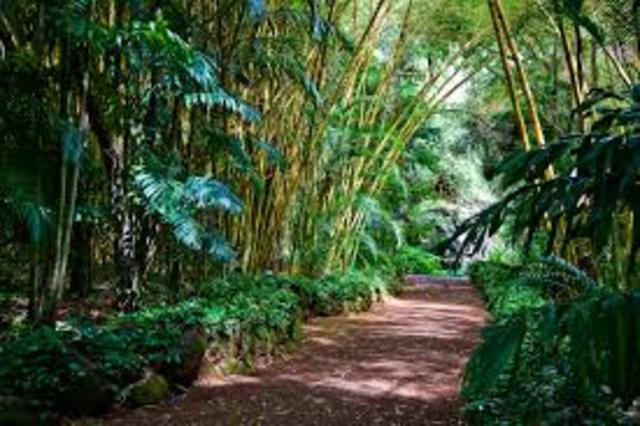 Kaho'olawe is Restored