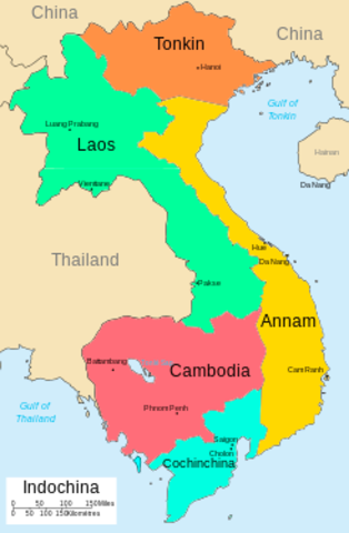 France makes the Vietnam Empire a protectorate