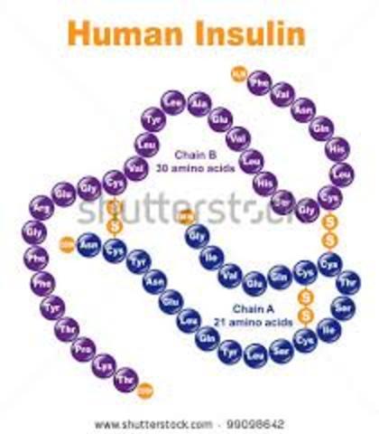 Finally discovers complete structure of insulin.