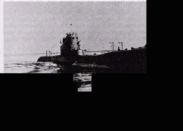 El origen de programas especializados en Logistica.