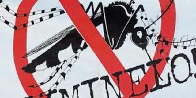 casos autonomos en el caribe