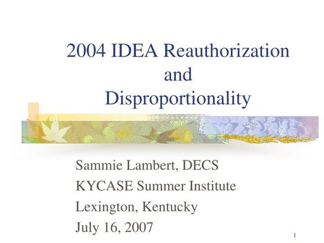 Reauthorization of the IDEA 2004