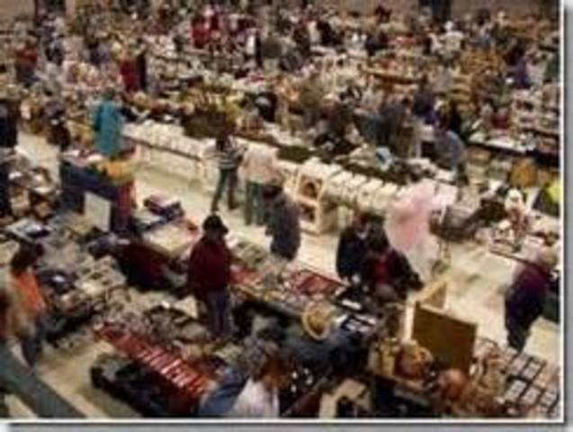 Amir's Swamp Princess