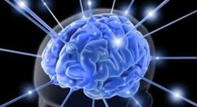 PRINCIPIOS DEL COGNITIVISMO