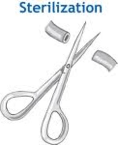 Sterilization of People with Disabilities