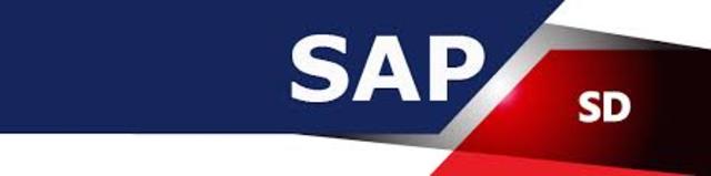 Obtención Certificación  SAP SD/FI