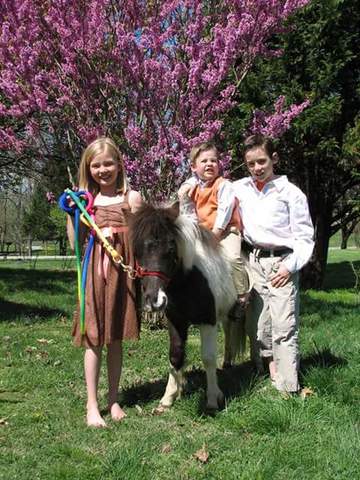 Je l'ai acheté un cheval .