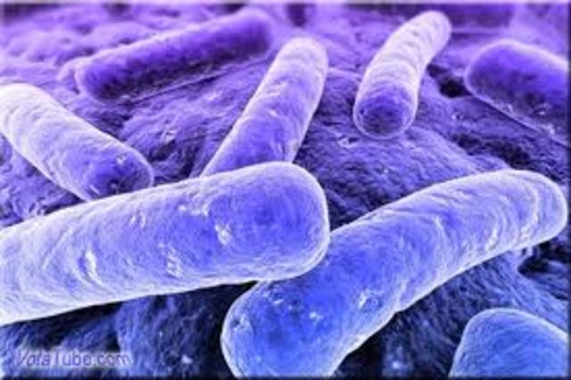 Descubrimiento de la bacteria de la tuberculosis.