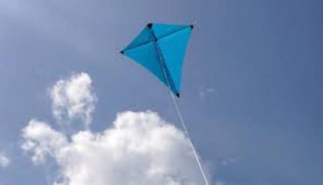 Kite Flying Contest