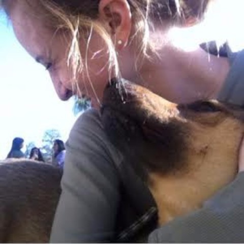 Le jour où nous avons eu notre chiot!