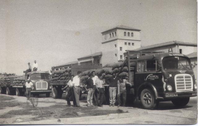 "Madurez" de la Logistica