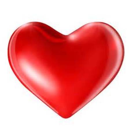 I love Palm Beach County