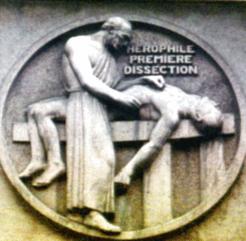 Herofílo y Erasístrato