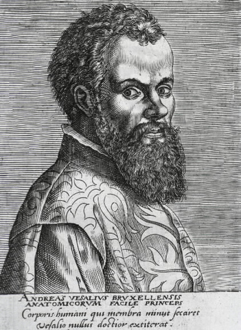 VESALIO