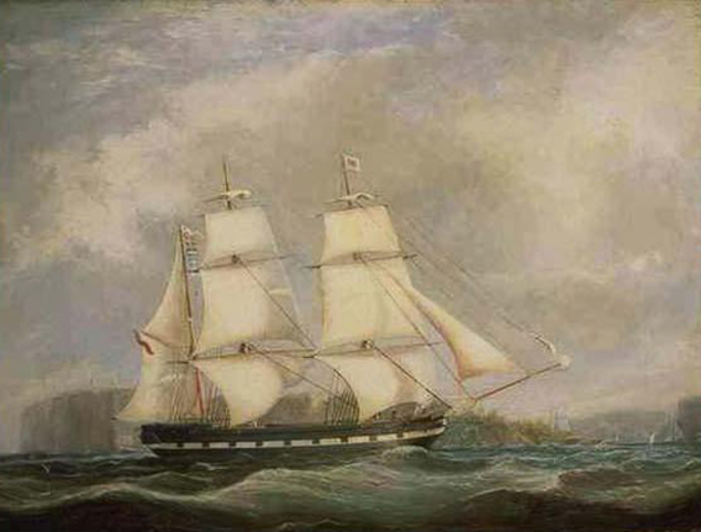 There is evidence that the Chinese sailed to Australia.