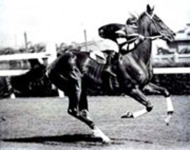 Pharlap wins the 1930 Melbourne Cup