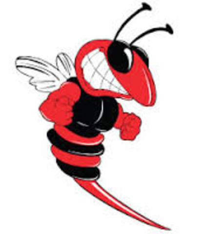 Started MIddle School