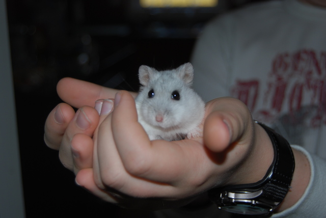 One of my Best Companions