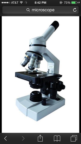 The mircroscope was invented