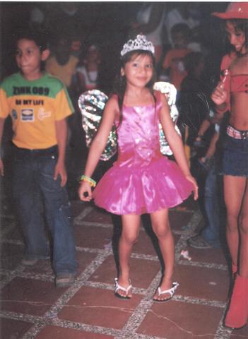 my fairy princess costume