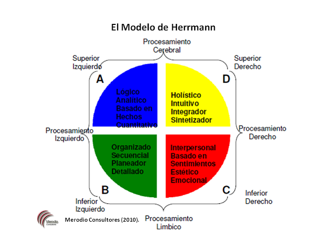 Modelo de los Cuadrantes Cerebrales de Herrmann