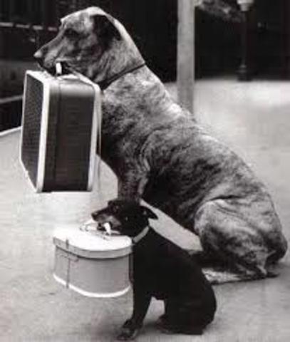 My best friend moving away