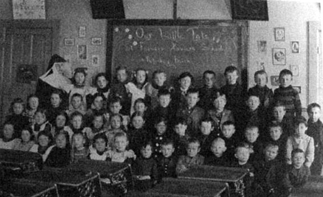 Sexual education curricula