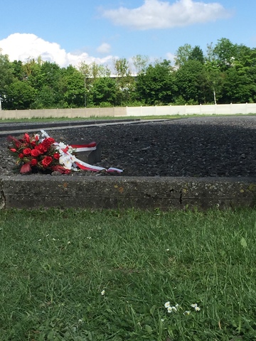 Visiting Dachau Concentration Camp- "Never Again"