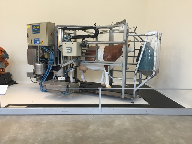 Museum fun at the Science and Technology Museum