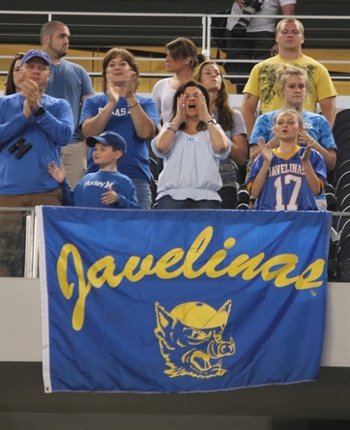 Javelina Battle Flag