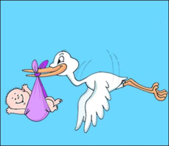 Me trajo la cigueña!!