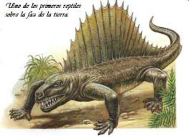 Primeros reptiles