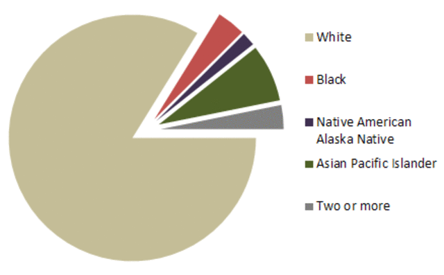 Census allows selection of more than one race