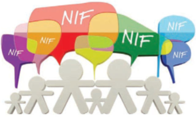 ELABORACION DE LAS NIIF