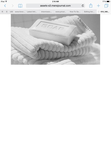 The American Hygeine Association