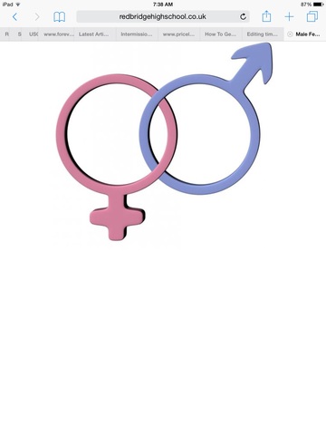 The Appropriations Bill