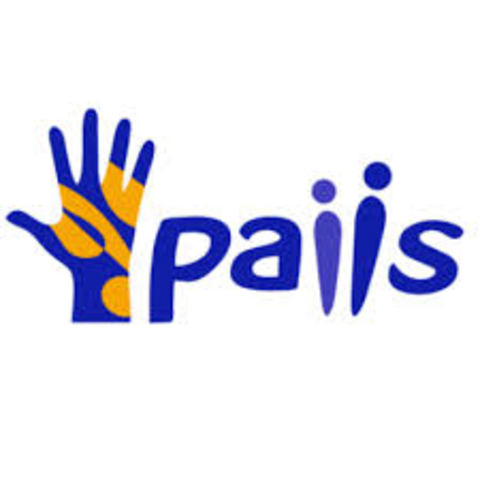 Articulación Equipo de trabajo PAIIS -Universidad de los Andes