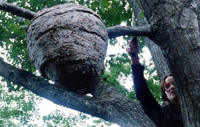 Hunger Games cont., Trackerjacker Nest