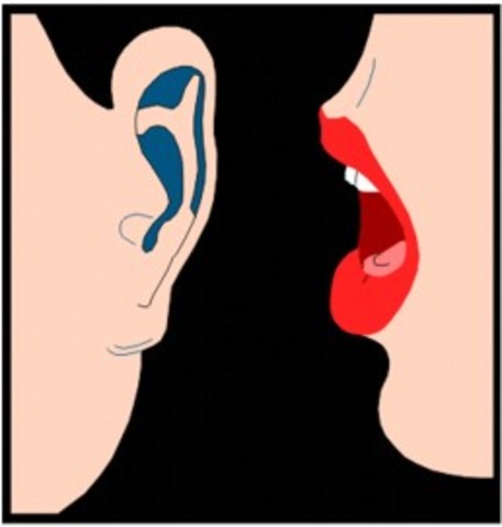 Conducta gobernada por reglas