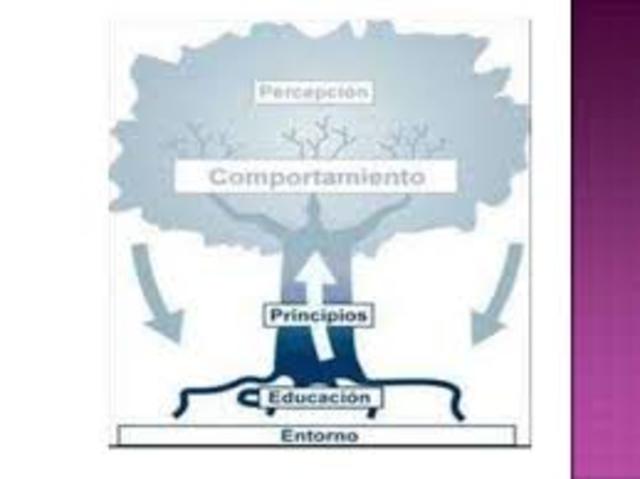 Teoria del comportamiento