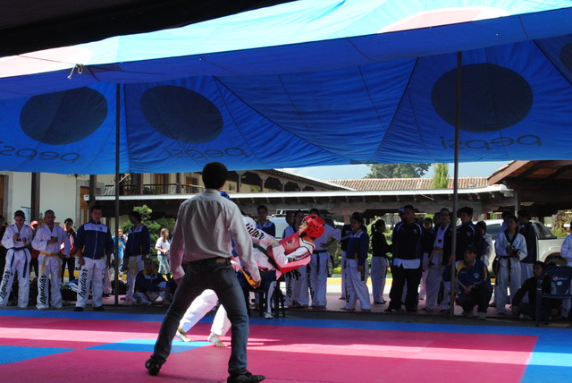 Entre al equipo de Taekwondo de la URL