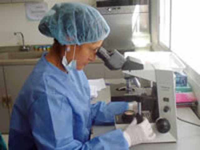 “Programas de Evaluación Externa de Sífilis y Tuberculosis”