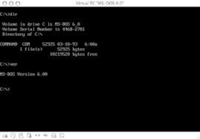 MS-DOS 1993